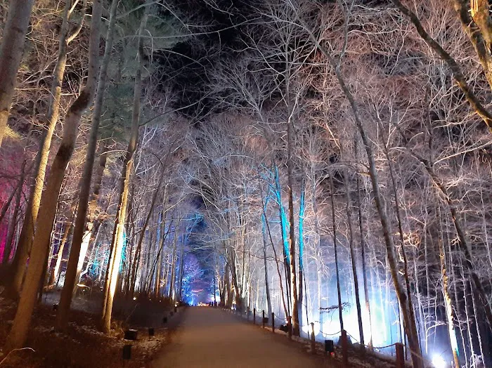 Crom Pond Trail Picture 4