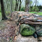 Colhoun Preserve