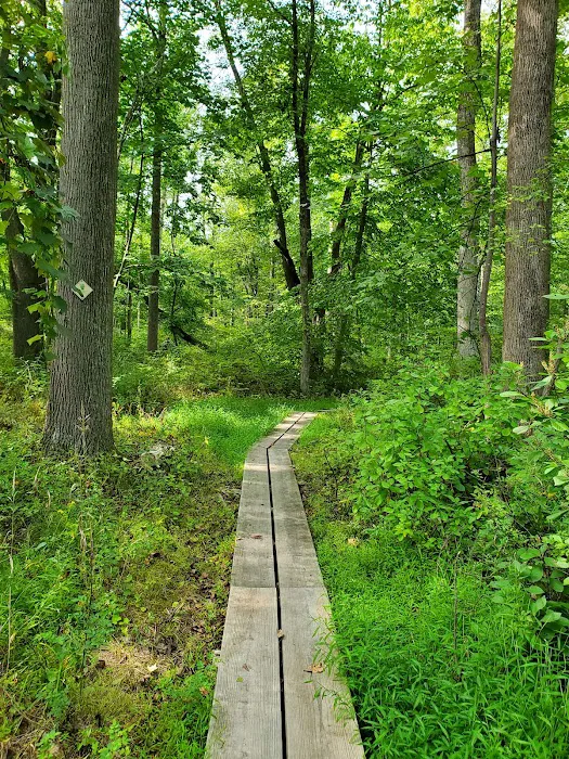 Colhoun Preserve Picture 10