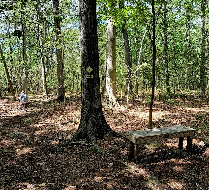 Colhoun Preserve Picture 6