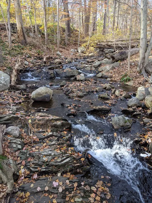 Pound Ridge Town Park Picture 6