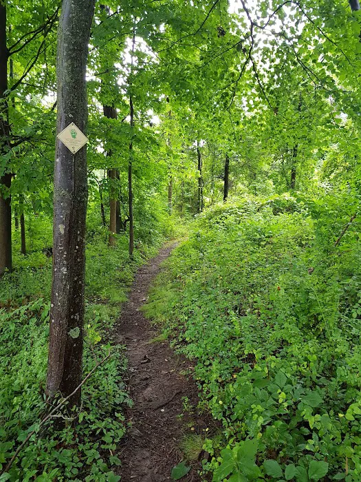 Livingston-Higley Meadow (NCLT) Picture 2
