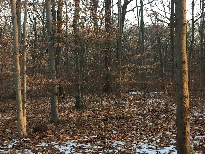 Woodland Park Picture 6
