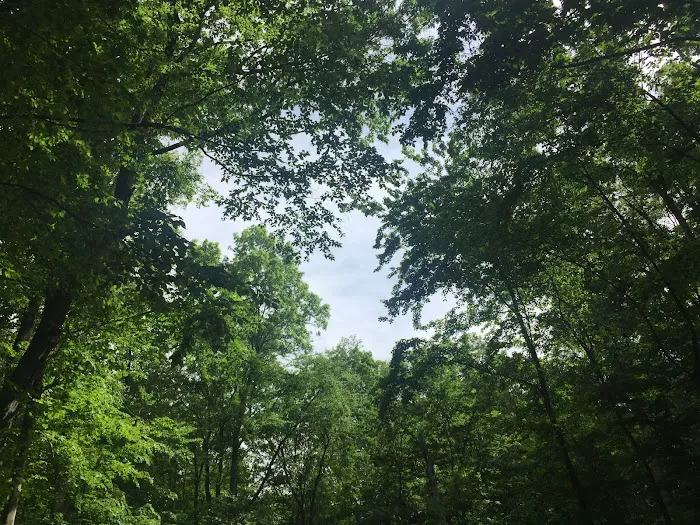 Woodland Park Picture 4