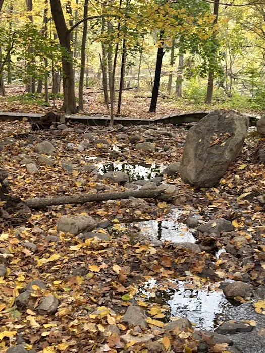 Piacentini Nature Preserve Picture 7