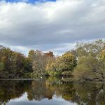 Piacentini Nature Preserve