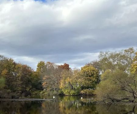 Piacentini Nature Preserve