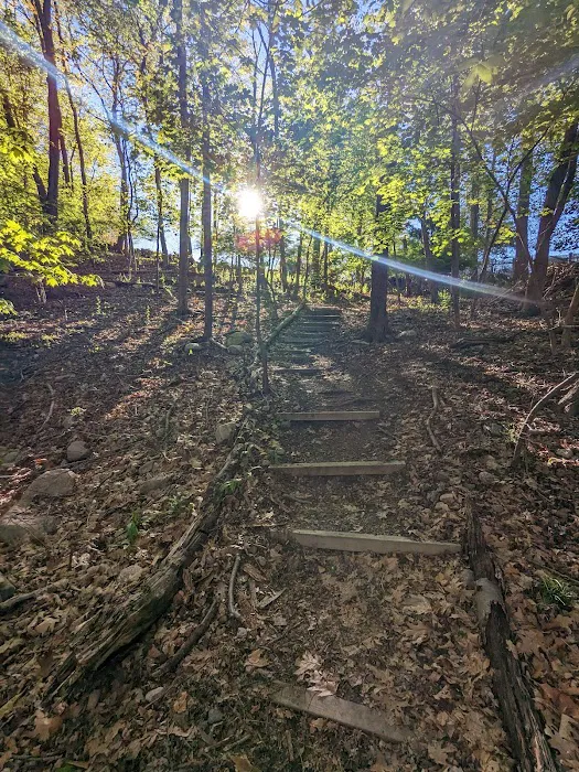 Piacentini Nature Preserve Picture 10