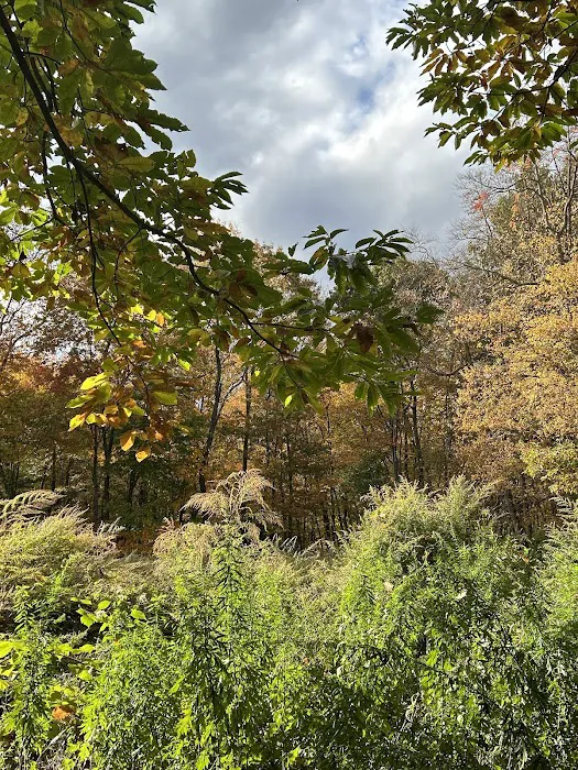 Piacentini Nature Preserve Picture 6