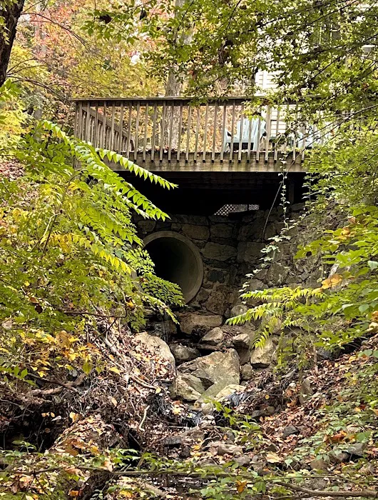 Piacentini Nature Preserve Picture 3