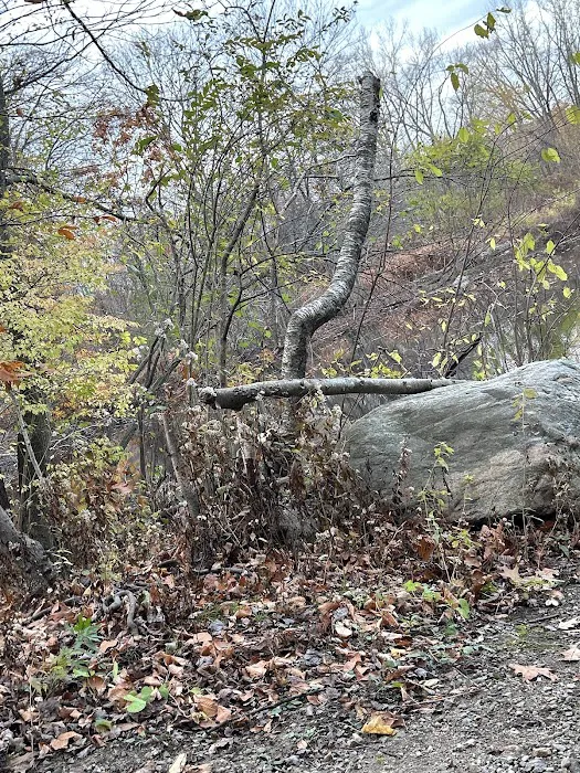 Piacentini Nature Preserve Picture 2