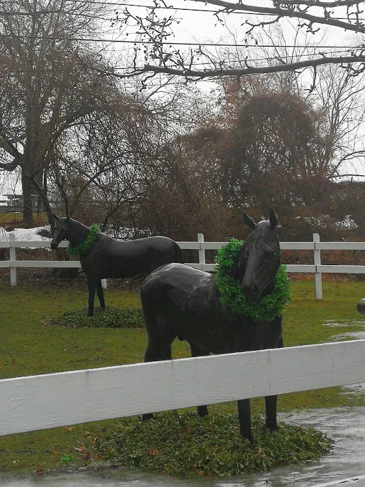 Highland Farm/ Caballos Picture 6