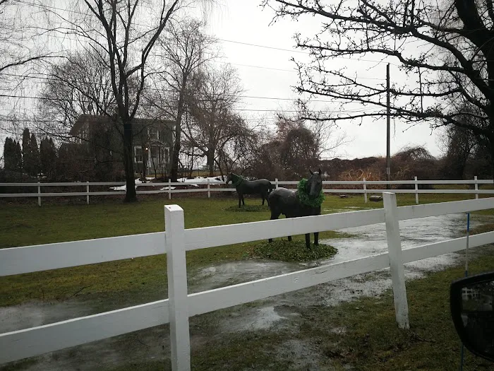 Highland Farm/ Caballos Picture 5