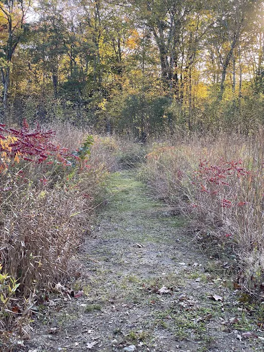 The Danoff Bruder Family Meadow Picture 4