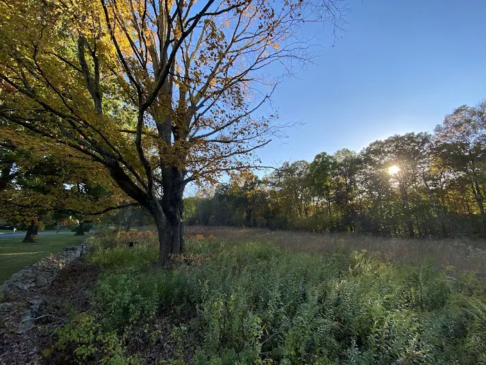 The Danoff Bruder Family Meadow Picture 6