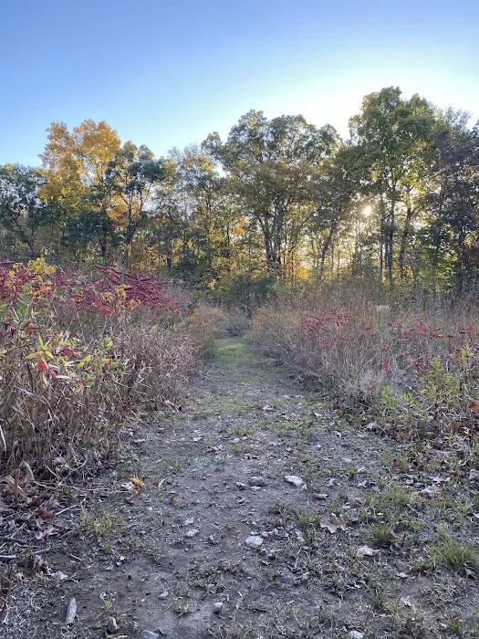 The Danoff Bruder Family Meadow Picture 2