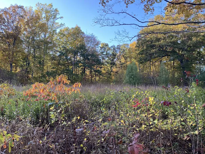 The Danoff Bruder Family Meadow Picture 8