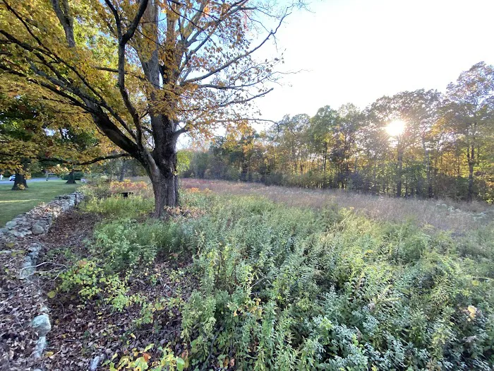 The Danoff Bruder Family Meadow Picture 10