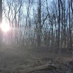 Sand Preserve