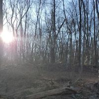 Sand Preserve ico
