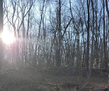 Sand Preserve