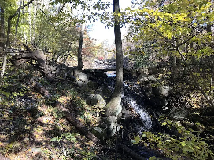 Halle Ravine Picture 7