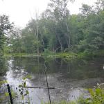 Halle Ravine