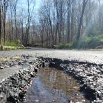 Old Stone Hill Preserve