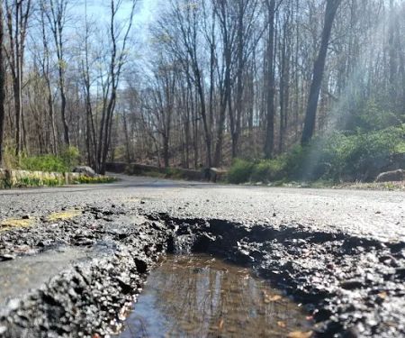 Old Stone Hill Preserve