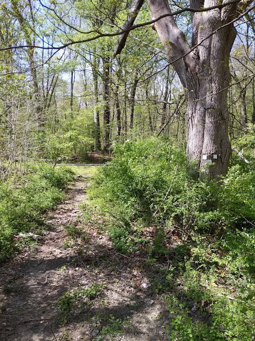 Michigan Rd Parking Area Ward Pound Ridge Reservation Picture 9