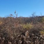 Michigan Rd Parking Area Ward Pound Ridge Reservation