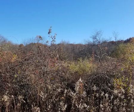 Michigan Rd Parking Area Ward Pound Ridge Reservation