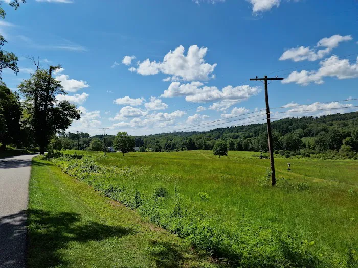 Ward Pound Ridge Reservation Picture 9