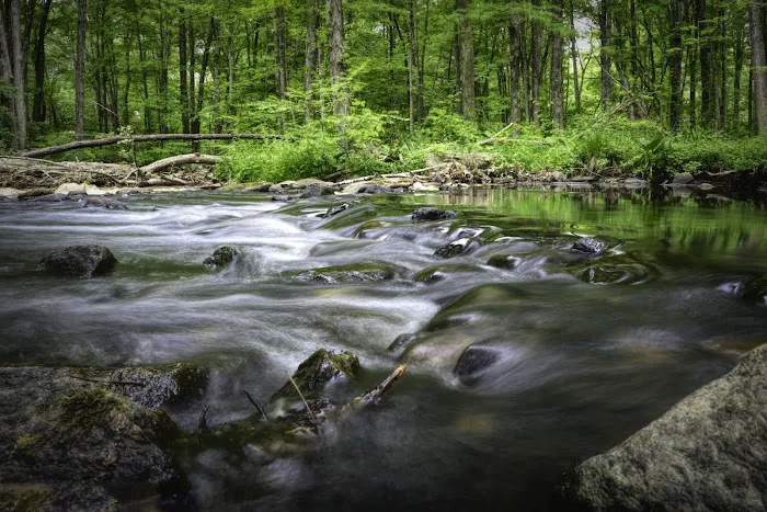 Ward Pound Ridge Reservation Picture 4