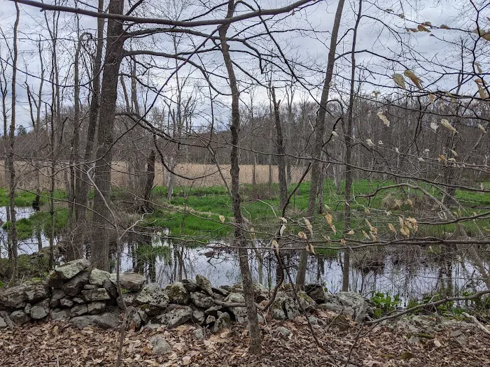 Ward Pound Ridge Reservation Picture 8
