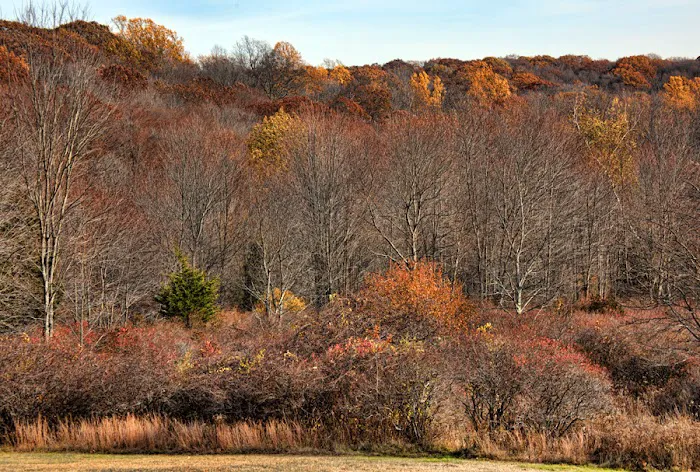 Ward Pound Ridge Reservation Picture 2