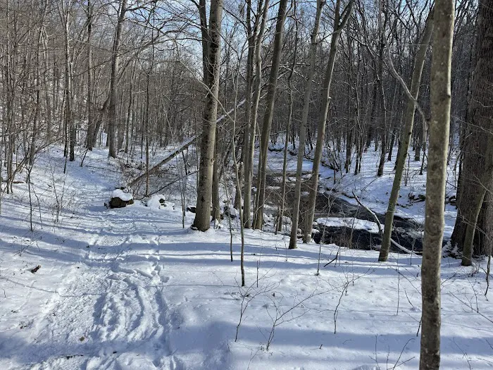 Ward Pound Ridge Reservation Picture 5