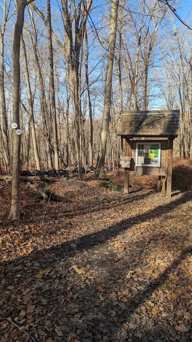 James Ramsay Hunt Sanctuary Picture 5