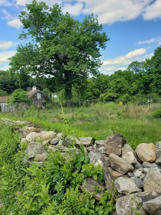 Bedford Audubon Society Picture 9