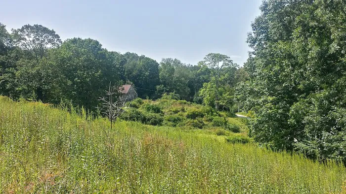 Bedford Audubon Society Picture 2