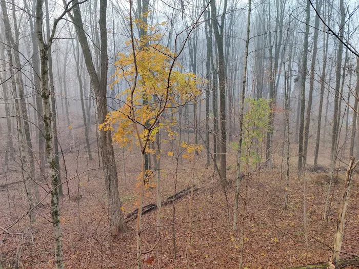 Muscoot East Recreation Area Picture 10