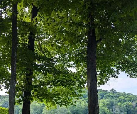 Muscoot East Recreation Area