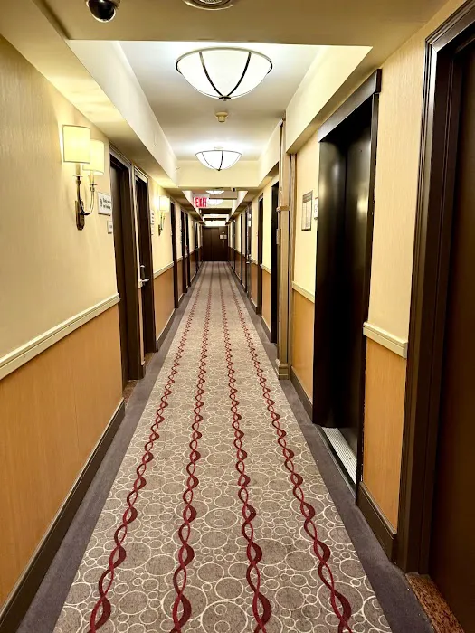 Belvedere Hotel Picture 9