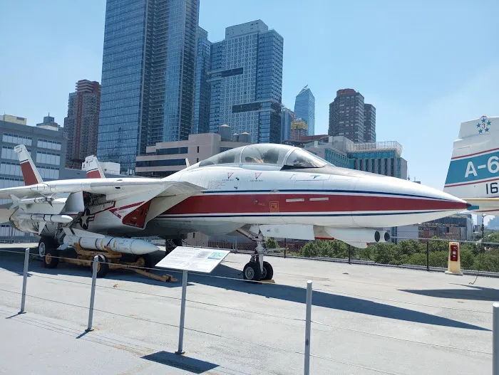 Pier 86 at Hudson River Park Picture 6