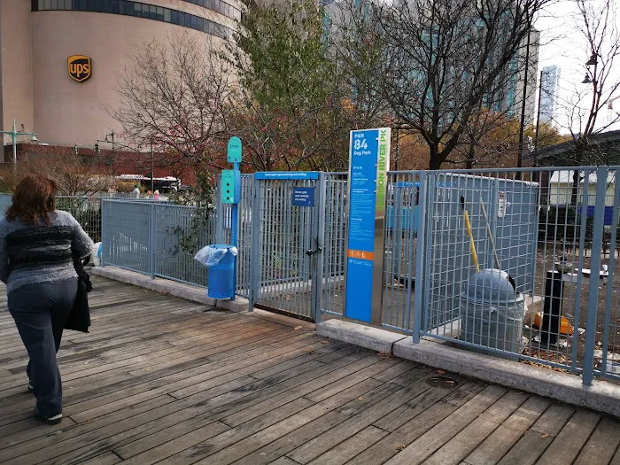 Pier 84 Dog Run Picture 7