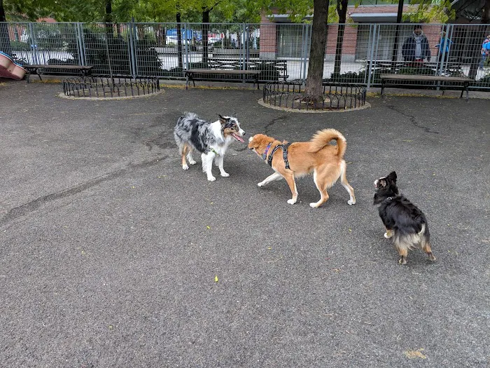 Pier 84 Dog Run Picture 6