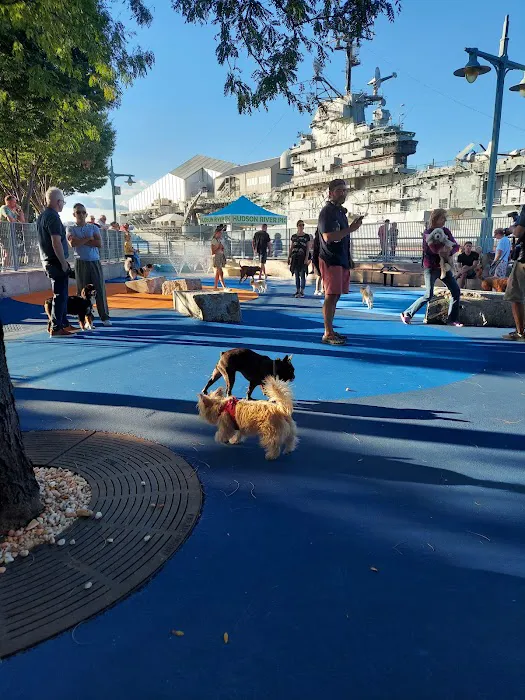 Pier 84 Dog Run Picture 1
