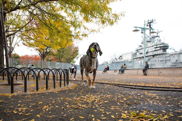 Pier 84 Dog Run Picture 10