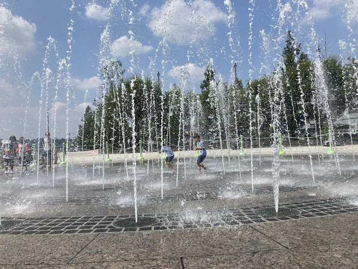 Pier 84 Dog Run Picture 9