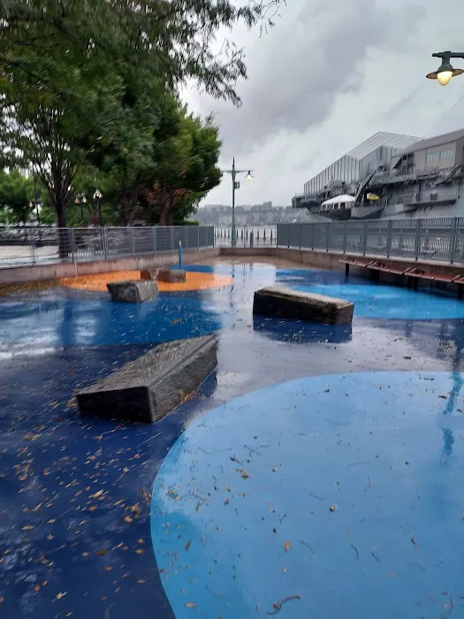 Pier 84 Dog Run Picture 2